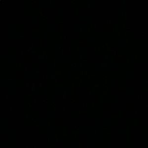 Meet your Posher, Libertie